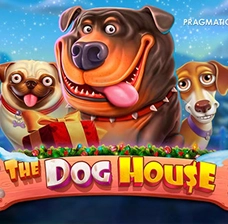 Scena z gry Dog House Vavada